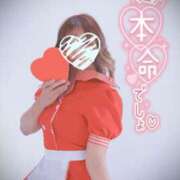 ヒメ日記 2025/05/14 07:01 投稿 れいな ちゃんこ幕張店