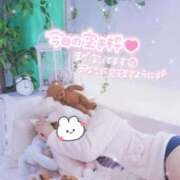 ヒメ日記 2025/06/27 06:02 投稿 れいな ちゃんこ幕張店