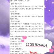 ヒメ日記 2025/06/27 11:02 投稿 れいな ちゃんこ幕張店