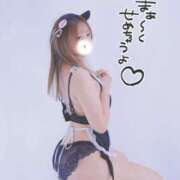 ヒメ日記 2025/08/20 11:01 投稿 れいな ちゃんこ幕張店