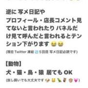 ヒメ日記 2025/03/12 07:37 投稿 まゆみ Club-Embassy