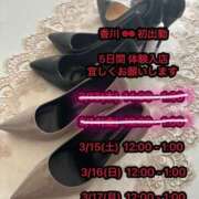 ヒメ日記 2025/03/15 21:01 投稿 まゆみ Club-Embassy