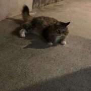 ヒメ日記 2025/03/26 10:50 投稿 まゆみ Club-Embassy