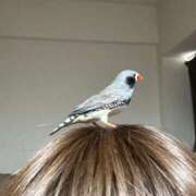 ヒメ日記 2025/06/13 21:01 投稿 まゆみ Club-Embassy