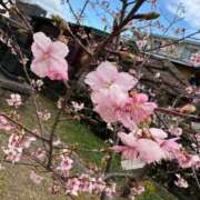 ヒメ日記 2026/02/22 16:20 投稿 まゆみ Club-Embassy