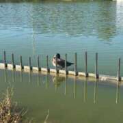 ヒメ日記 2025/10/24 15:06 投稿 常盤 弥生 クラブアイリス大阪