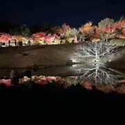 ヒメ日記 2025/11/19 18:25 投稿 常盤 弥生 クラブアイリス大阪