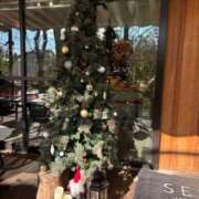 ヒメ日記 2025/11/24 16:48 投稿 常盤 弥生 クラブアイリス大阪