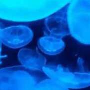 常盤 弥生 🪼 クラブアイリス大阪