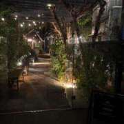 ヒメ日記 2025/12/26 16:27 投稿 常盤 弥生 クラブアイリス大阪