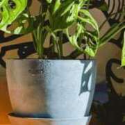 常盤 弥生 🫘🥲 クラブアイリス大阪