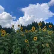 ヒメ日記 2025/07/20 10:00 投稿 新井 恭子 クラブアイリス大阪