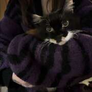 ヒメ日記 2025/04/04 16:09 投稿 みな 大宮baton