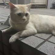 ヒメ日記 2025/06/28 19:23 投稿 みな 大宮baton