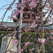 ヒメ日記 2025/03/27 12:04 投稿 るみ 池袋人妻城