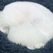 ゆうみ ありがとうございました❤️ One More 奥様　西川口店