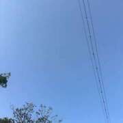 ヒメ日記 2025/05/05 07:16 投稿 はるか 超絶Fcup美女！ ウエスト・コム