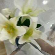 ヒメ日記 2025/06/13 16:20 投稿 はるか 超絶Fcup美女！ ウエスト・コム