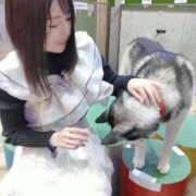 ヒメ日記 2025/03/25 05:14 投稿 Nanae THE MUSE