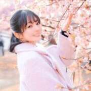 ヒメ日記 2025/04/21 20:14 投稿 Nanae THE MUSE