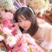 ヒメ日記 2025/05/16 19:44 投稿 Nanae THE MUSE