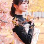 ヒメ日記 2025/05/19 05:14 投稿 Nanae THE MUSE