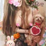 ヒメ日記 2025/11/01 01:42 投稿 はるき 熟女の風俗最終章　越谷店