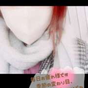 ヒメ日記 2025/03/15 12:20 投稿 美香 出会い系人妻ネットワーク 上野〜大塚編