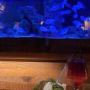 ヒメ日記 2025/02/26 22:58 投稿 れいか デザインプリズム新宿