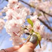 ヒメ日記 2026/04/19 22:37 投稿 よしの One More 奥様　西船橋店