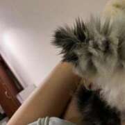 ヒメ日記 2025/02/24 15:39 投稿 せいな 性の極み 技の伝道師 ver. 匠