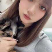 ヒメ日記 2025/03/09 19:05 投稿 せいな 性の極み 技の伝道師 ver. 匠