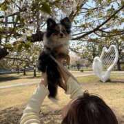 ヒメ日記 2025/04/09 14:05 投稿 せいな 性の極み 技の伝道師 ver. 匠