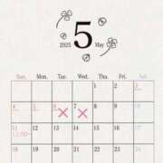 ヒメ日記 2025/04/18 00:25 投稿 せいな 性の極み 技の伝道師 ver. 匠