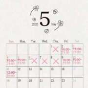 ヒメ日記 2025/04/28 20:18 投稿 せいな 性の極み 技の伝道師 ver. 匠