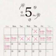 ヒメ日記 2025/05/04 10:05 投稿 せいな 性の極み 技の伝道師 ver. 匠