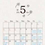 ヒメ日記 2025/05/05 04:25 投稿 せいな 性の極み 技の伝道師 ver. 匠