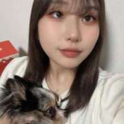 ヒメ日記 2025/05/16 09:15 投稿 せいな 性の極み 技の伝道師 ver. 匠