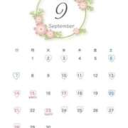 ヒメ日記 2025/08/25 04:25 投稿 せいな 性の極み 技の伝道師 ver. 匠