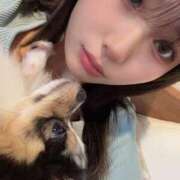 ヒメ日記 2025/09/15 03:35 投稿 せいな 性の極み 技の伝道師 ver. 匠