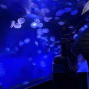 ヒメ日記 2025/10/18 00:35 投稿 せいな 性の極み 技の伝道師 ver. 匠