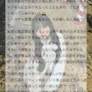 ヒメ日記 2025/11/28 10:15 投稿 せいな 性の極み 技の伝道師 ver. 匠