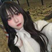 ヒメ日記 2025/11/30 16:13 投稿 せいな 性の極み 技の伝道師 ver. 匠