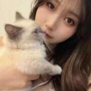 ヒメ日記 2025/12/07 07:05 投稿 せいな 性の極み 技の伝道師 ver. 匠