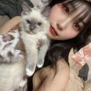 ヒメ日記 2025/12/17 17:16 投稿 せいな 性の極み 技の伝道師 ver. 匠