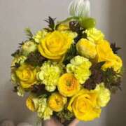 ヒメ日記 2026/01/13 03:55 投稿 せいな 性の極み 技の伝道師 ver. 匠