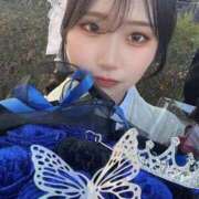 ヒメ日記 2026/01/15 22:55 投稿 せいな 性の極み 技の伝道師 ver. 匠