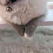 ヒメ日記 2026/02/15 04:25 投稿 せいな 性の極み 技の伝道師 ver. 匠