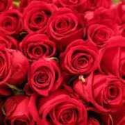 ヒメ日記 2025/10/24 14:58 投稿 ゆう マドンナSANSAIN