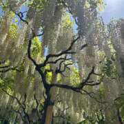 ヒメ日記 2025/05/05 09:13 投稿 せな 初体験